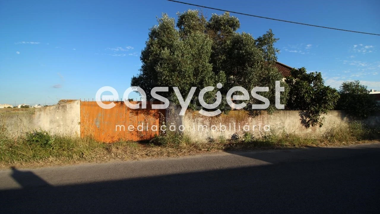 Terreno para Venda em Montijo e Afonsoeiro Foto 5