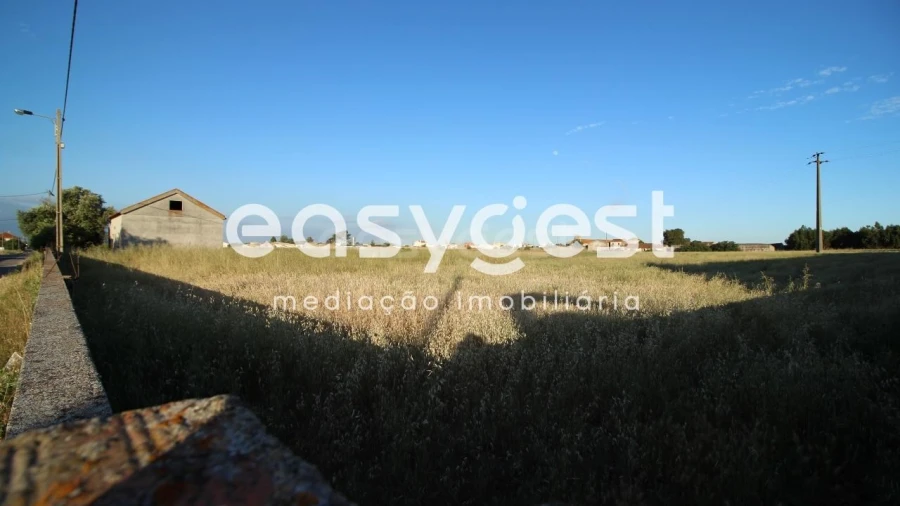 Terreno para Venda em Montijo e Afonsoeiro Foto 3