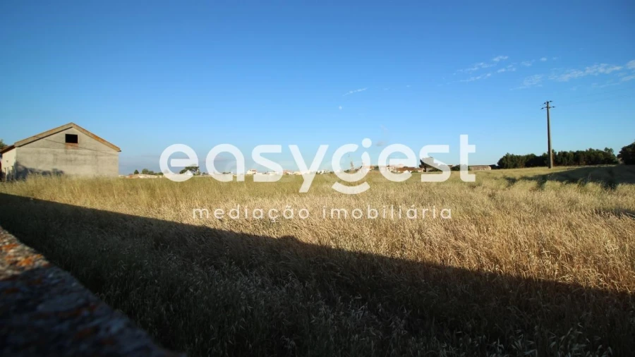 Terreno para Venda em Montijo e Afonsoeiro Foto 4