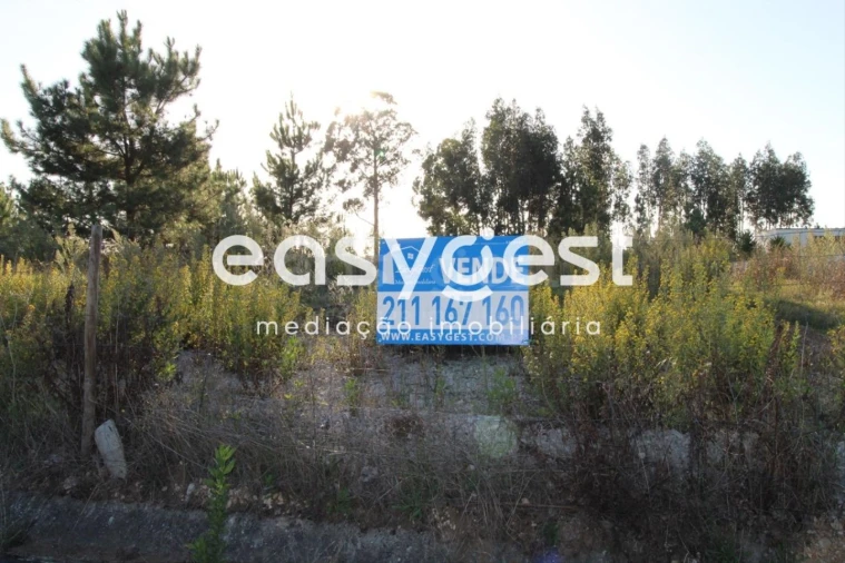 Terreno para Venda em Antuzede e Vil de Matos Foto 1
