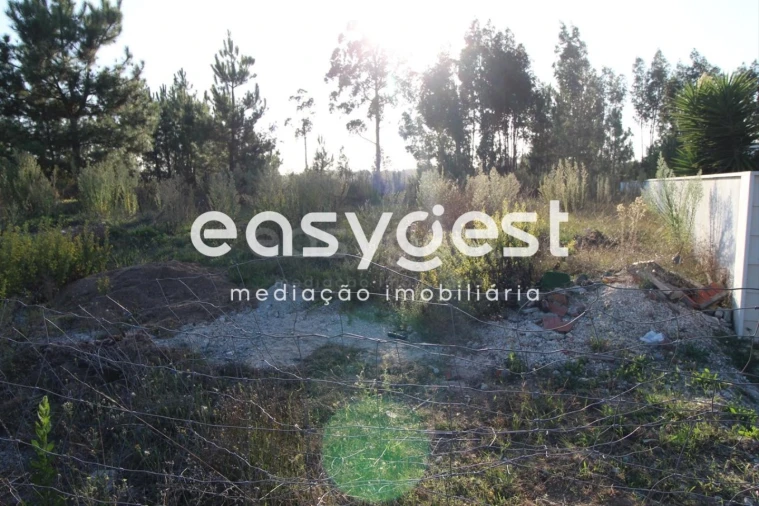 Terreno para Venda em Antuzede e Vil de Matos Foto 4