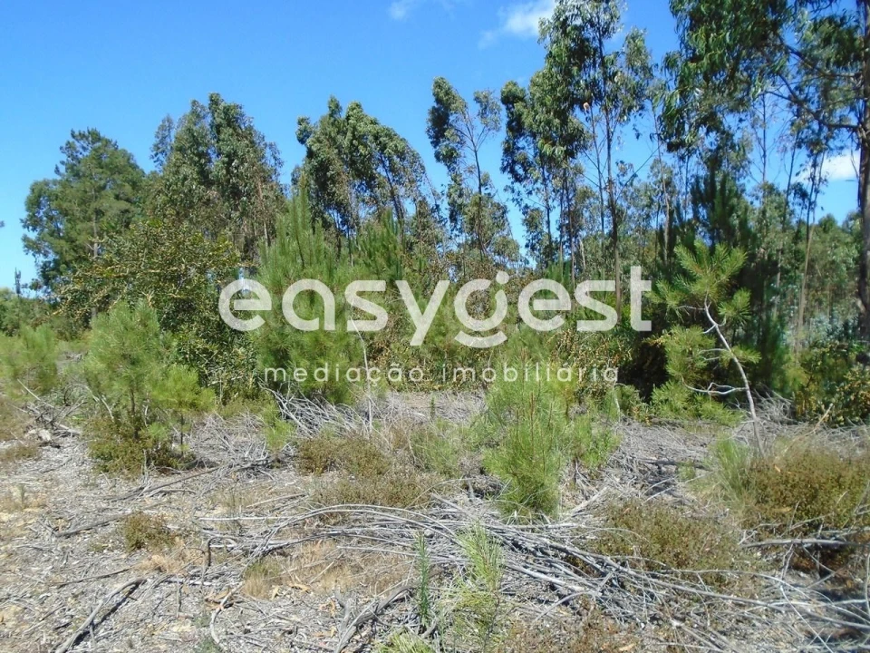 Terreno para Venda em Pataias e Martingança Foto 6