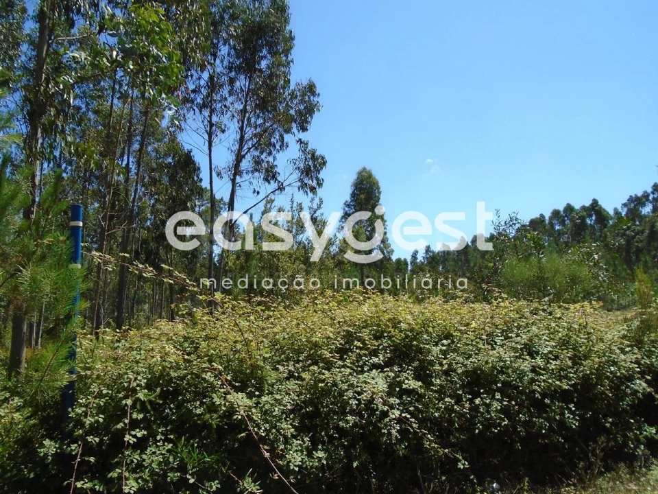 Terreno para Venda em Pataias e Martingança Foto 8