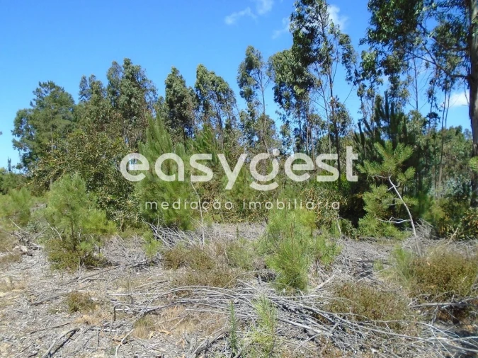 Terreno para Venda em Pataias e Martingança Foto 2
