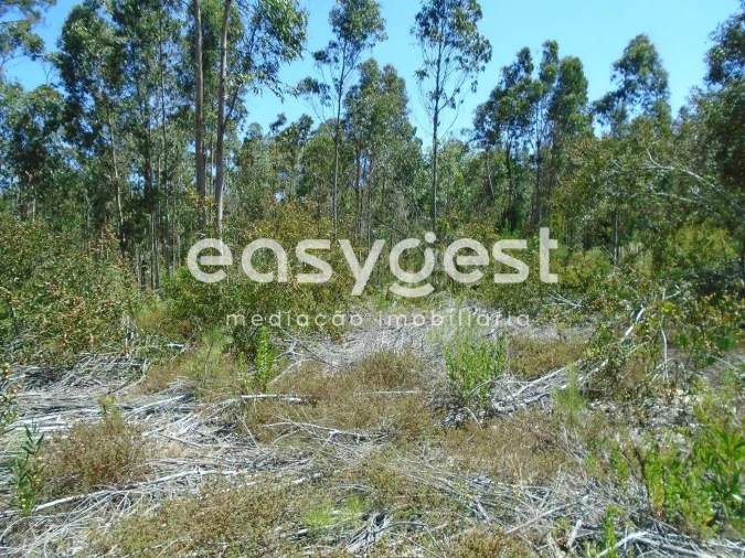 Terreno para Venda em Pataias e Martingança Foto 3