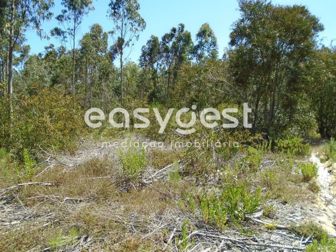 Terreno para Venda em Pataias e Martingança Foto 4
