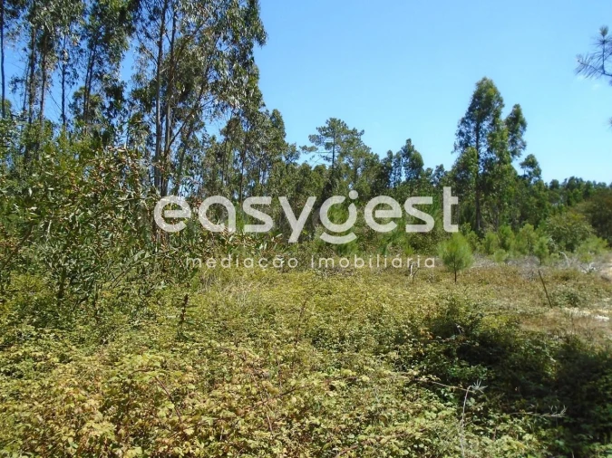 Terreno para Venda em Pataias e Martingança Foto 12