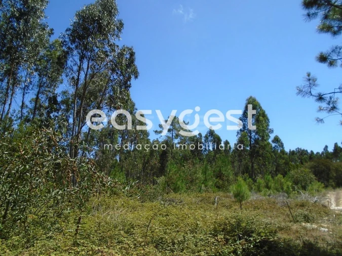 Terreno para Venda em Pataias e Martingança Foto 14