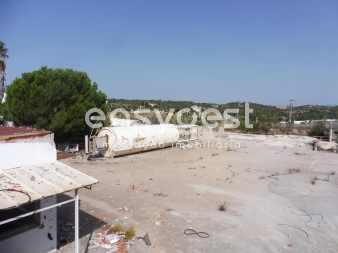 Terreno para Venda em Mexilhoeira Grande Foto 21