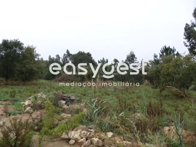 Terreno para Venda em Gaeiras Foto 3