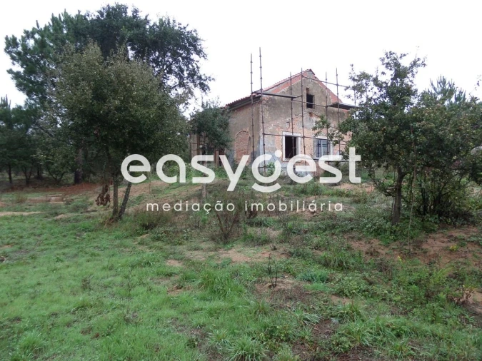 Terreno para Venda em Gaeiras Foto 7