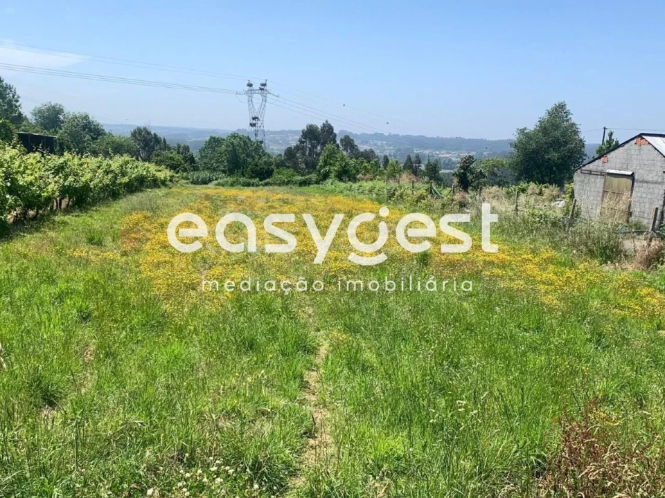 Terreno para Venda em Trofa, Segadães e Lamas do Vouga Foto 2