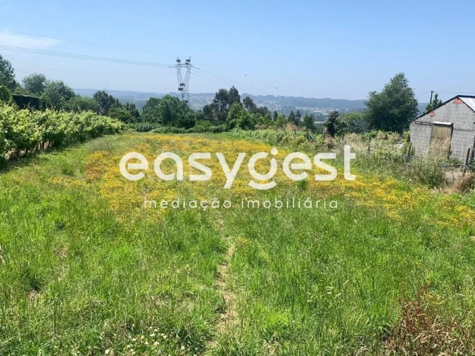 Terreno para Venda em Trofa, Segadães e Lamas do Vouga Foto 2