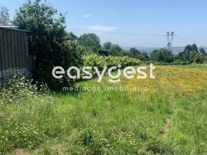 Terreno para Venda em Trofa, Segadães e Lamas do Vouga Foto 3