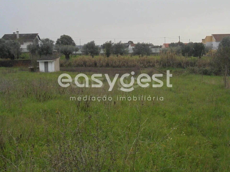 Terreno para Venda em São João Baptista e Santa Maria dos Olivais Foto 1