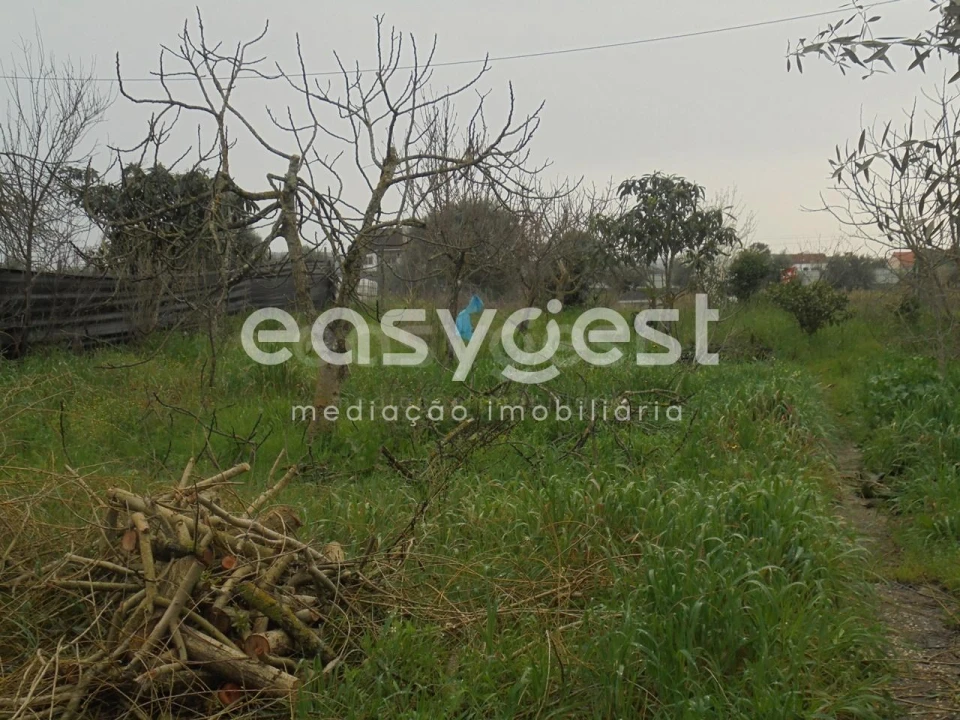 Terreno para Venda em São João Baptista e Santa Maria dos Olivais Foto 4