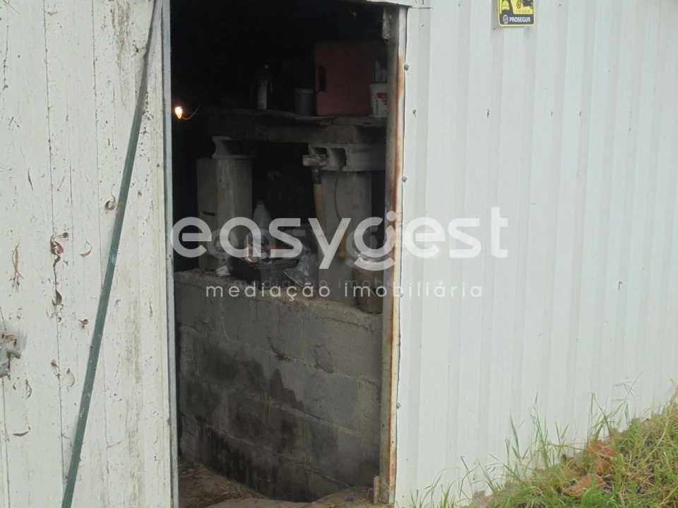 Terreno para Venda em São João Baptista e Santa Maria dos Olivais Foto 7