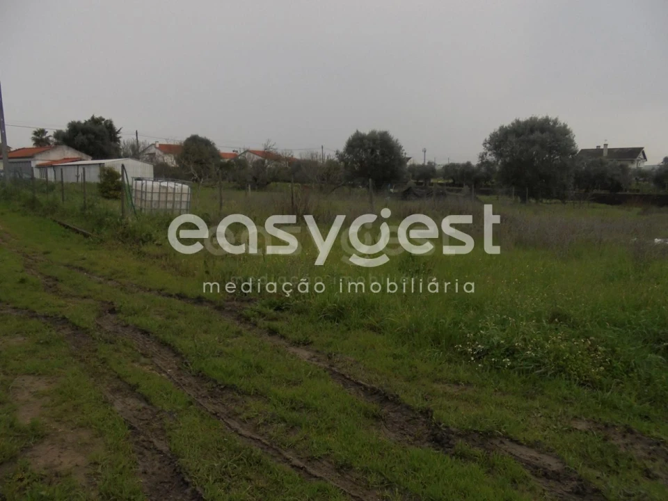 Terreno para Venda em São João Baptista e Santa Maria dos Olivais Foto 11