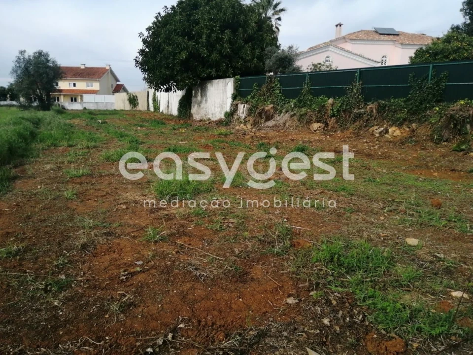 Terreno para Venda em Condeixa-A-Velha e Condeixa-A-Nova Foto 4