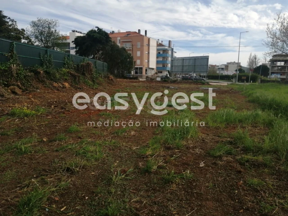 Terreno para Venda em Condeixa-A-Velha e Condeixa-A-Nova Foto 5