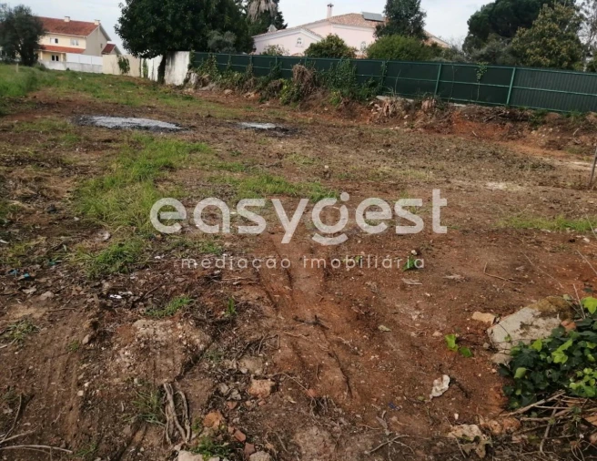 Terreno para Venda em Condeixa-A-Velha e Condeixa-A-Nova Foto 11