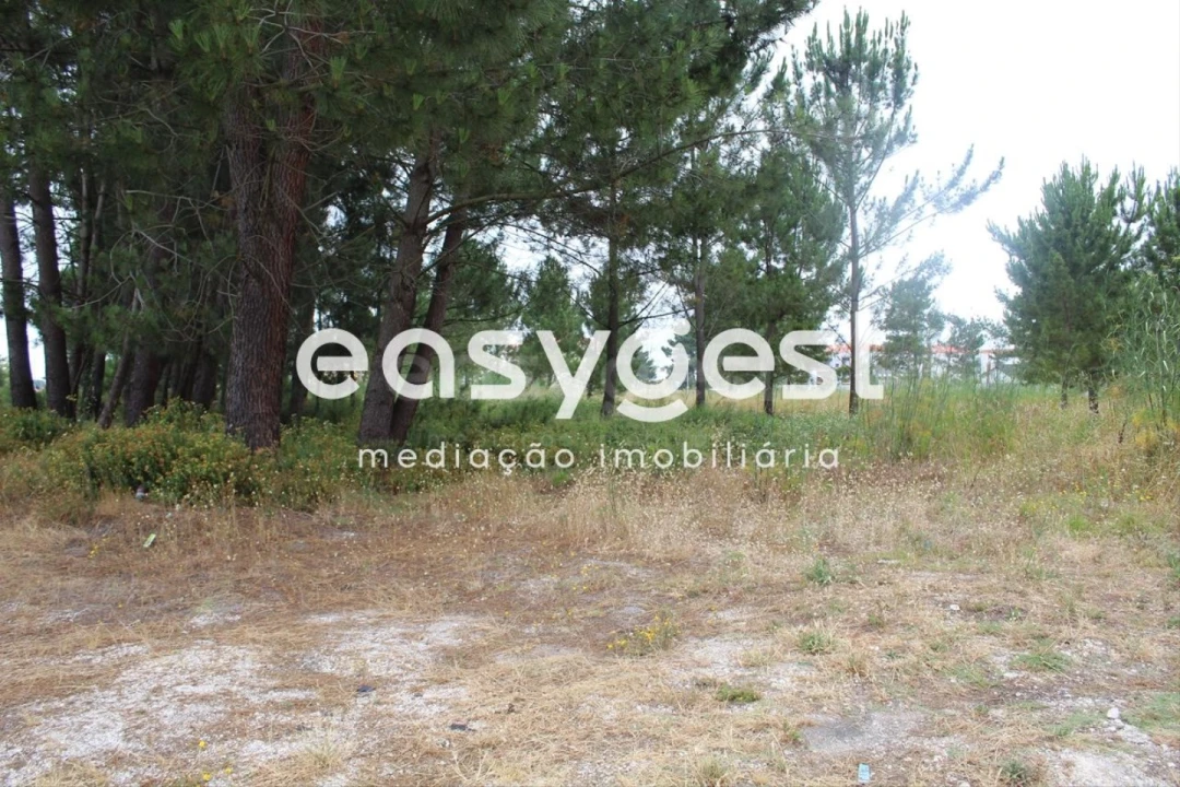 Terreno para Venda em Marinha Grande Foto 12