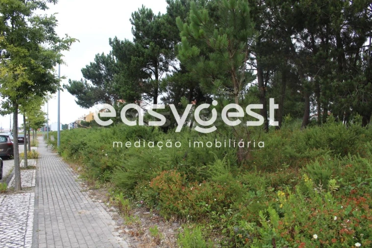 Terreno para Venda em Marinha Grande Foto 14