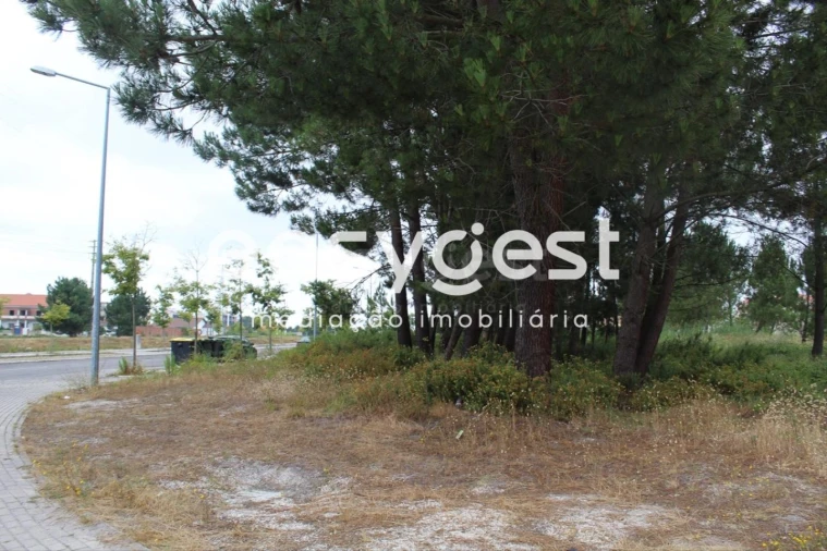 Terreno para Venda em Marinha Grande Foto 18