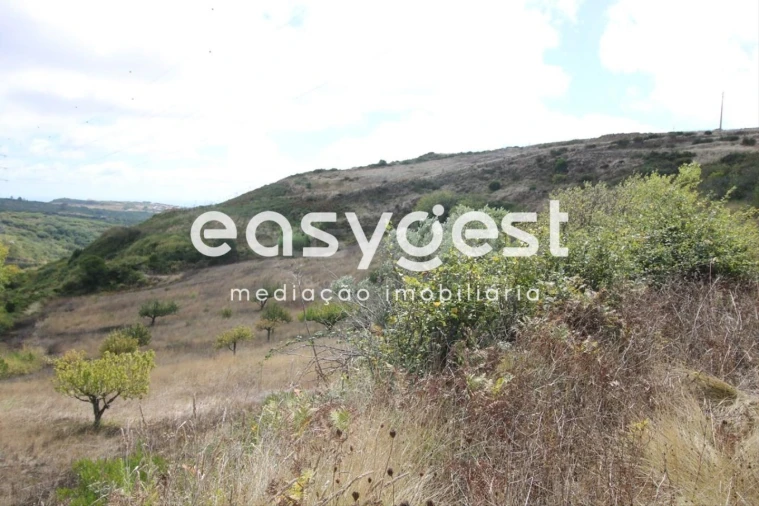 Terreno para Venda em Alhandra, São João dos Montes e Calhandriz Foto 21