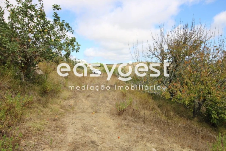 Terreno para Venda em Alhandra, São João dos Montes e Calhandriz Foto 28