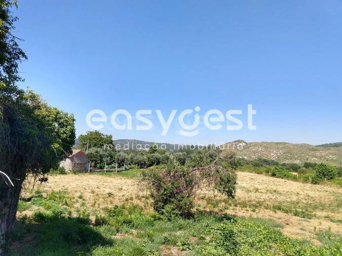 Terreno para Venda em Bodiosa Foto 4