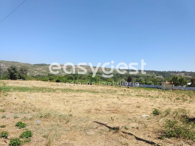 Terreno para Venda em Bodiosa Foto 8