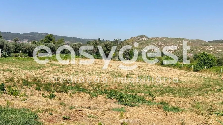 Terreno para Venda em Bodiosa