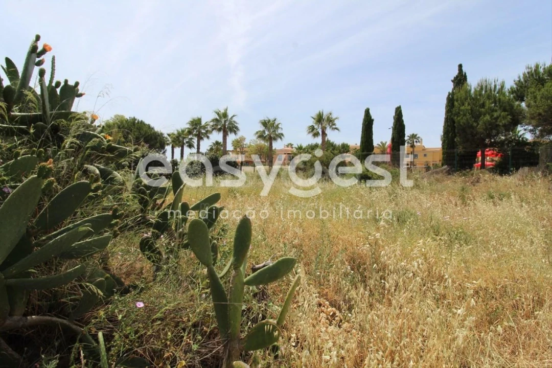 Terreno para Venda em Lagos (São Sebastião e Santa Maria) Foto 5