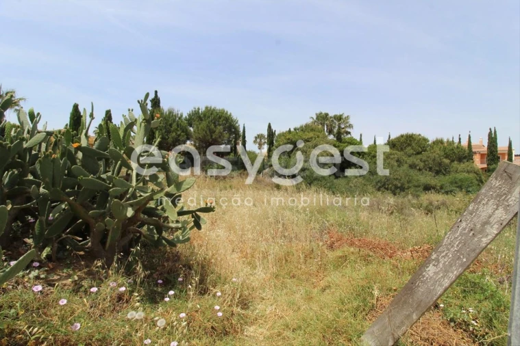 Terreno para Venda em Lagos (São Sebastião e Santa Maria) Foto 3