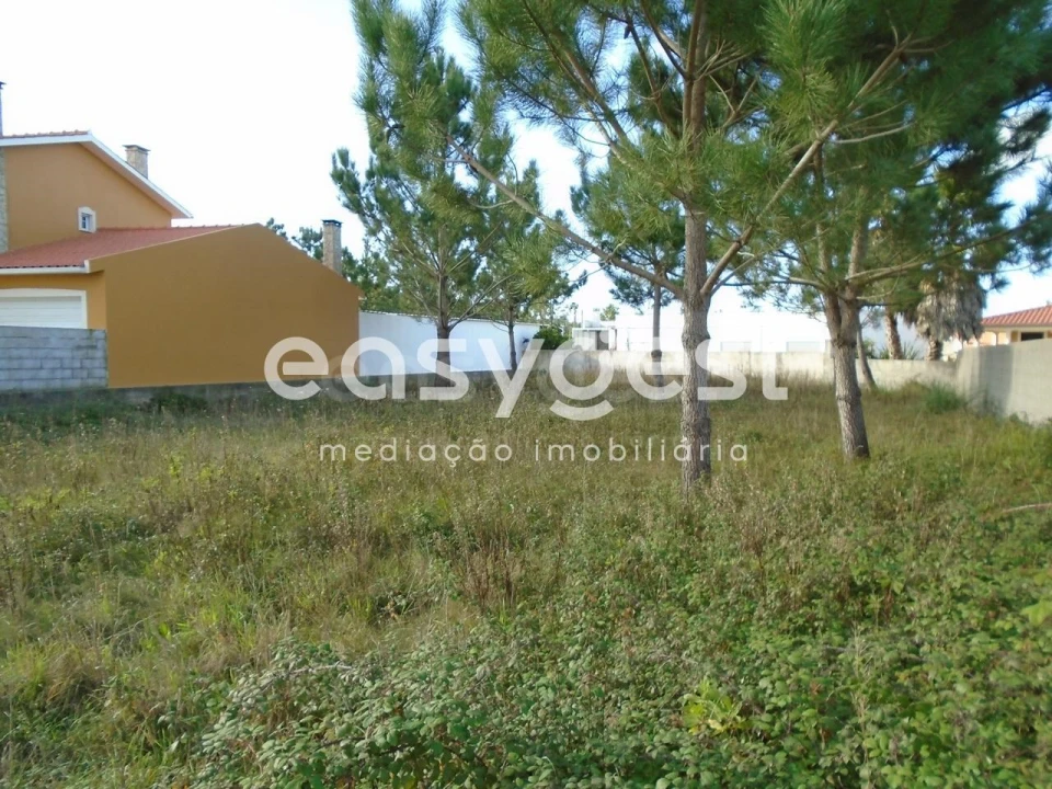 Terreno para Venda em Pataias e Martingança Foto 6