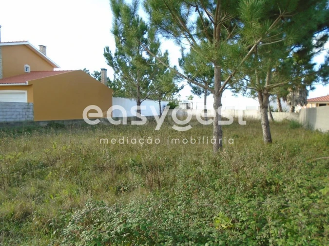 Terreno para Venda em Pataias e Martingança Foto 6