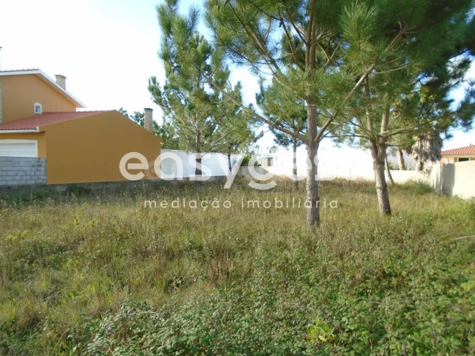 Terreno para Venda em Pataias e Martingança Foto 11