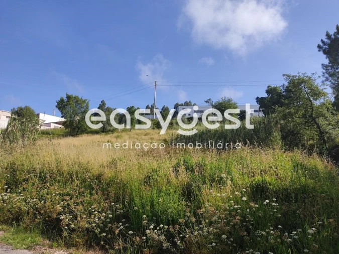 Terreno para Venda em Louriçal Foto 8