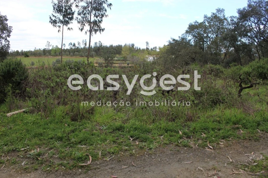 Terreno para Venda em Olalhas Foto 5