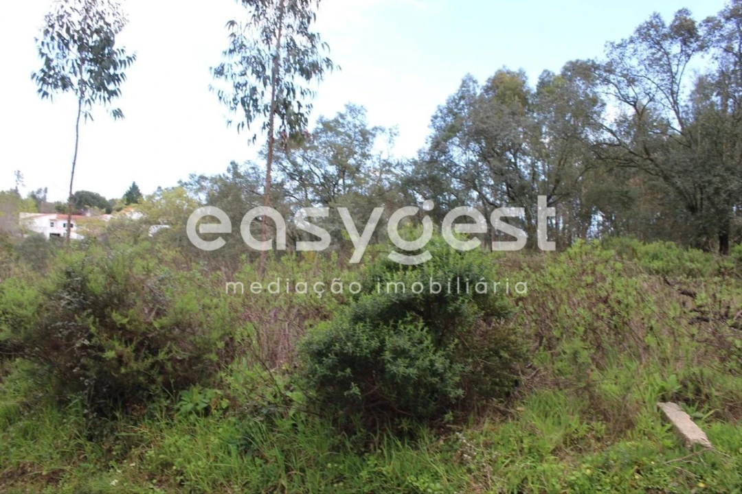 Terreno para Venda em Olalhas Foto 7