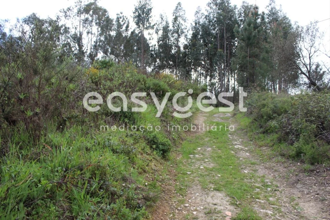 Terreno para Venda em Olalhas Foto 16