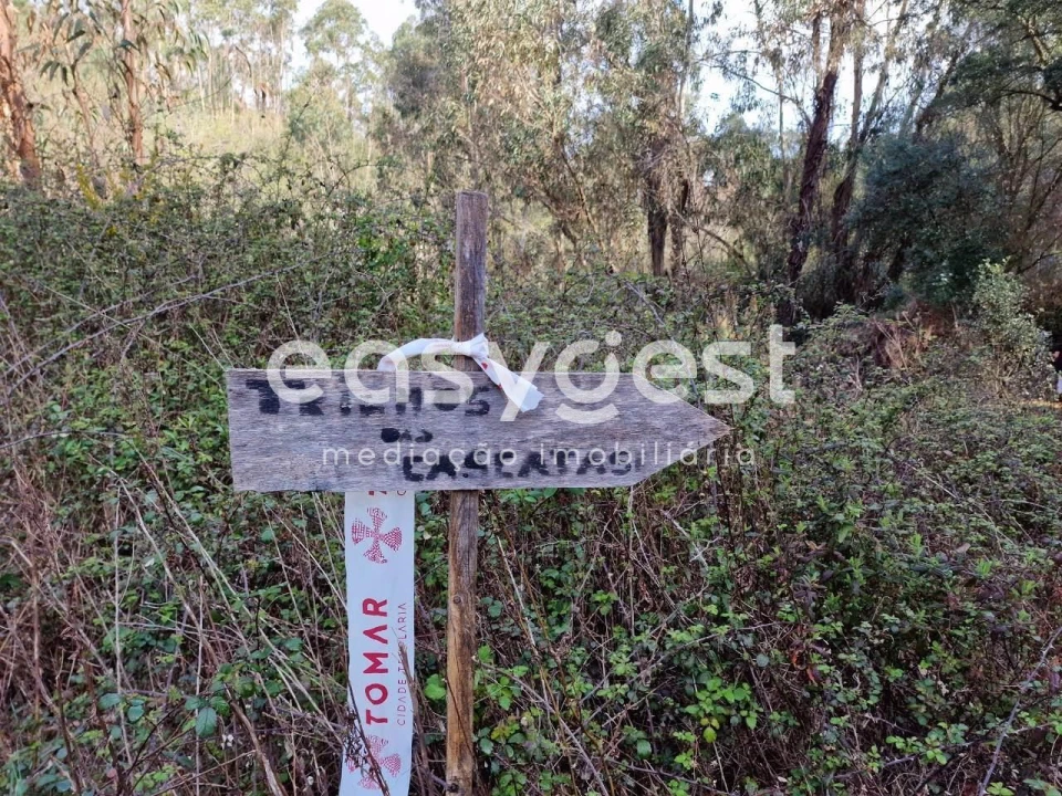 Terreno para Venda em Olalhas Foto 20