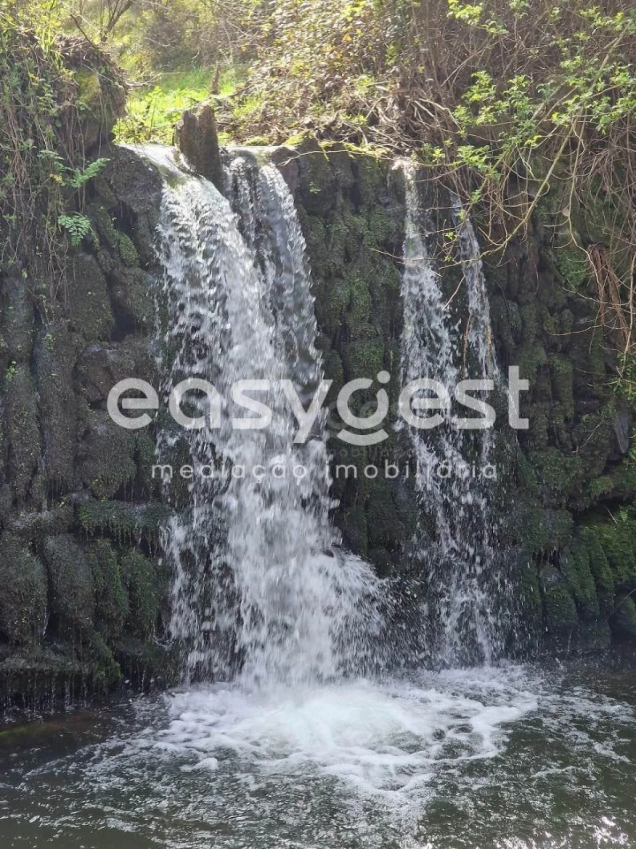 Terreno para Venda em Olalhas Foto 21