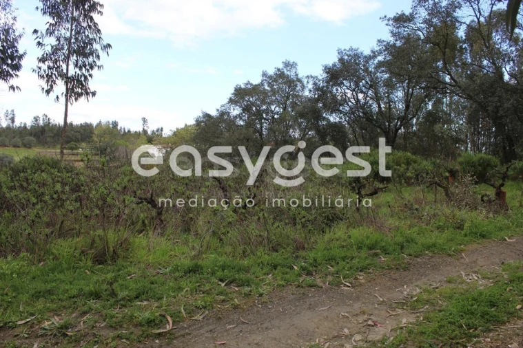 Terreno para Venda em Olalhas Foto 2