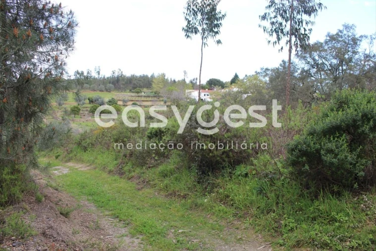 Terreno para Venda em Olalhas Foto 3