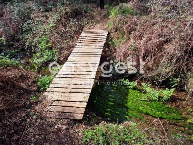 Terreno para Venda em Olalhas Foto 22