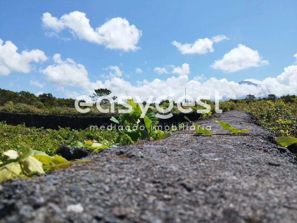 Terreno para Venda em Criação Velha Foto 4