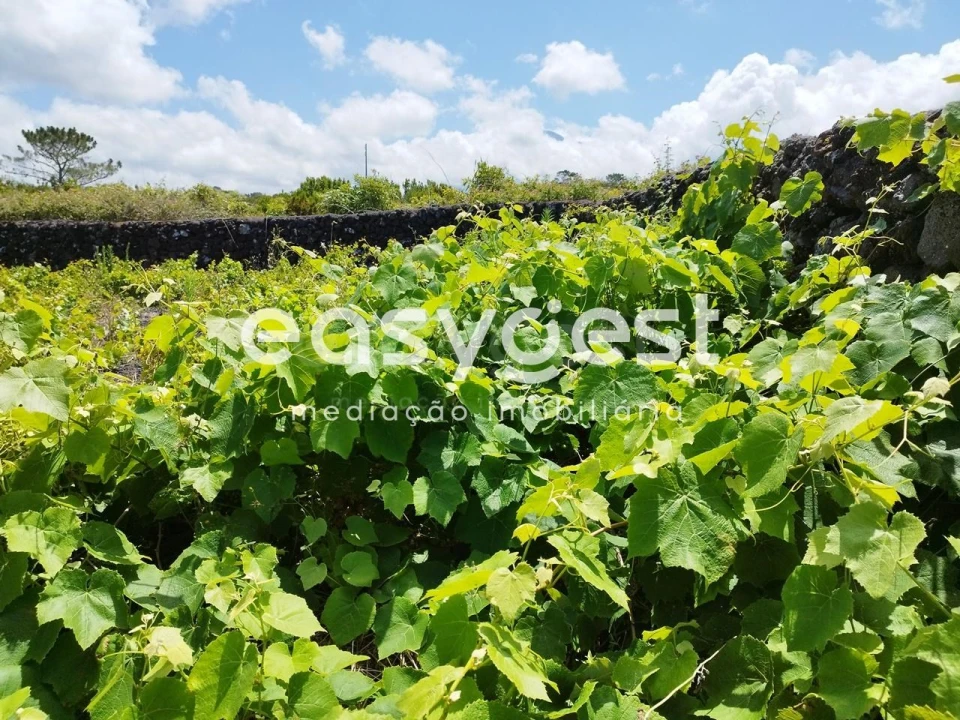 Terreno para Venda em Criação Velha Foto 10