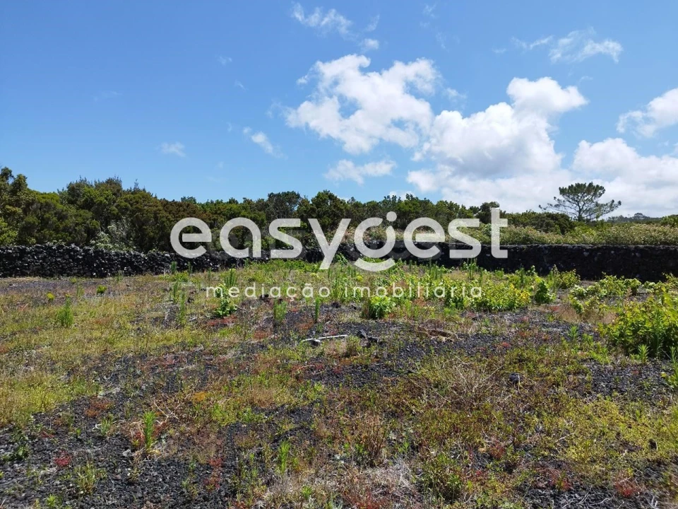 Terreno para Venda em Criação Velha Foto 11